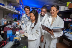 Professor and students work in lab